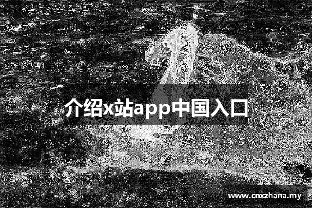 介绍x站app中国入口